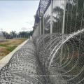 Concertina Razor Wire With Clips Razor Barbed Wire